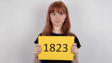 Czech Casting - Niky 1823