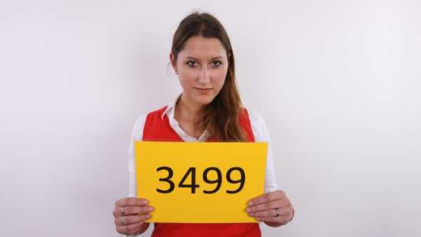 CzechCasting - Michaela 3499