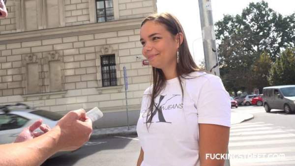 FuckingStreet - Sofia Lee - The Searching Ended In A Great Fuck For A Busty Brunette