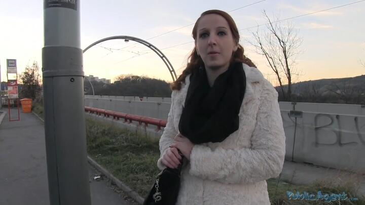 Public Agent E153 - Zuzana
